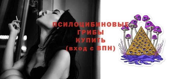 дмт Армянск