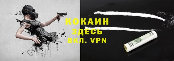 ешки Арсеньев