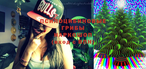 ешки Арсеньев